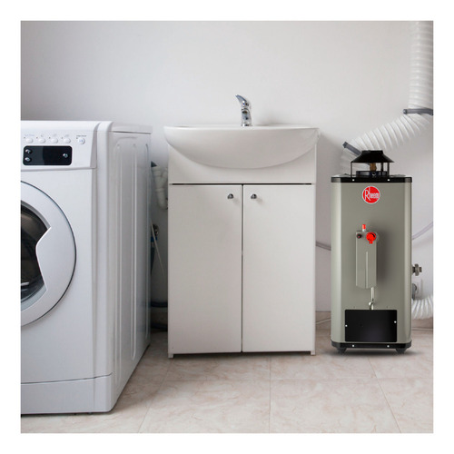 Calentador Agua Rheem Rápida Recuperación 6 L/m Gas Lp Color Gris RHHR-MX-06P/687261