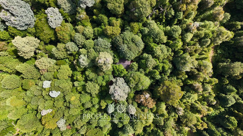 Casa Refugio En Reserva Biológica Huilo Huilo