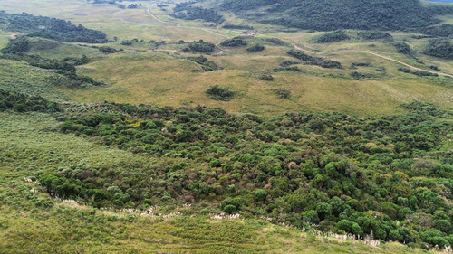 Oportunidade! 2 Hectares A Partir De R$ 99.000,00