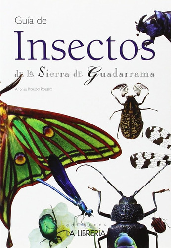 Guía De Insectos De La Sierra De Guadarrama (callejeros Y Gu