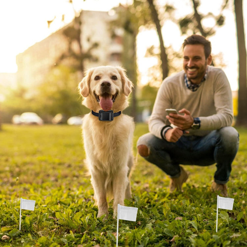 Sistema De Valla Eléctrica Para Perros Imountek Valla Eléctr