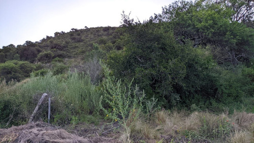 Imagen 8 de 10 de T004 Cb ¡oportunidad! Lote De 480m2 En Barrio De Montaña
