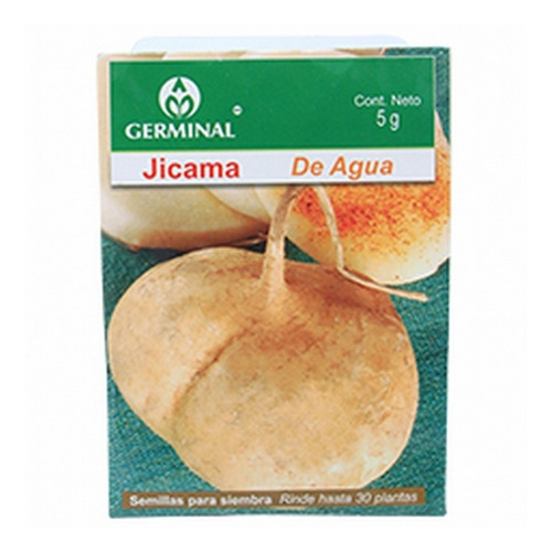 Semillas De Jícama De Agua 5 Gr Café Germinal