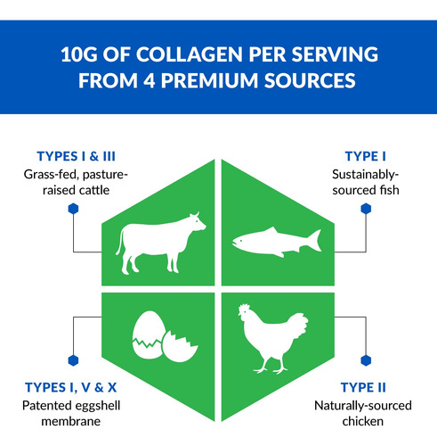 Biotrust Ageless Multi Collagen Protein | 5 En 1 Collagen Po
