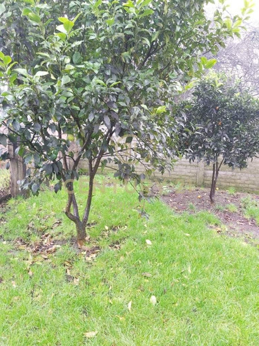 Casa En Venta En Angol