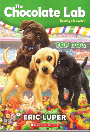 Chocolate Lab,the 3 : Top Dog - Scholastic Kel Ediciones