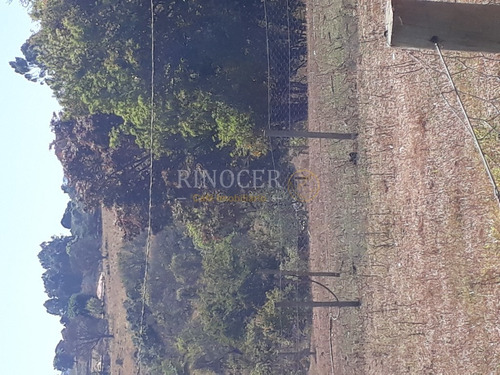 Imagem 22 de 30 de Temporada Em Ibiraci - Mg - Ot0006_rncr