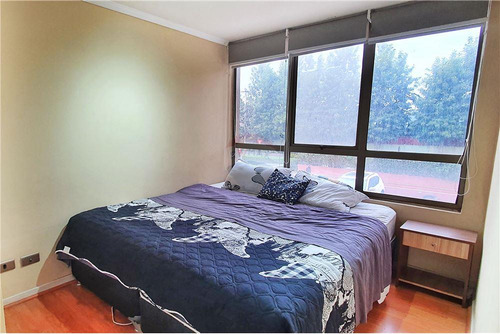 Imagen 18 de 26 de Lindo Y Acogedor Depto 4 Dormitorios, 2 En Suite