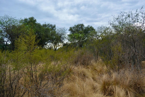 Hectareas En Cañada La Negra