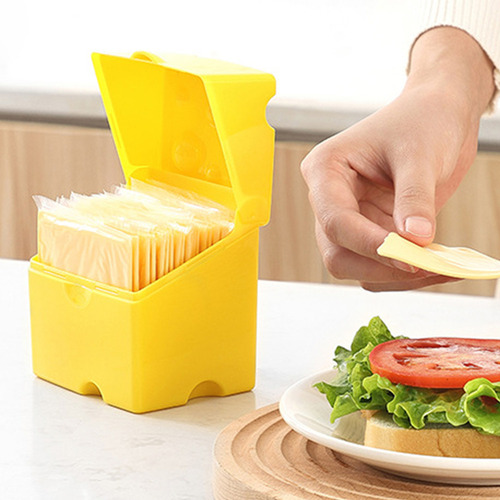 Recipiente Para Armazenamento Queijo Fatiado