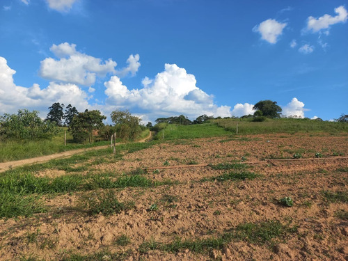 Imagem 15 de 15 de 11o- Lançamento Em Cotia-sp