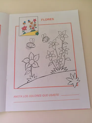 Libro Para Colorear Litoinca