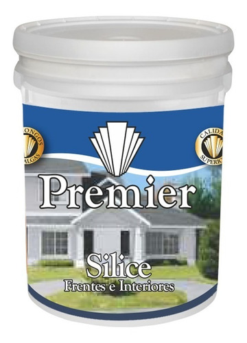 Latex Color Premier Con Silice Int-ext 1 Lt G1