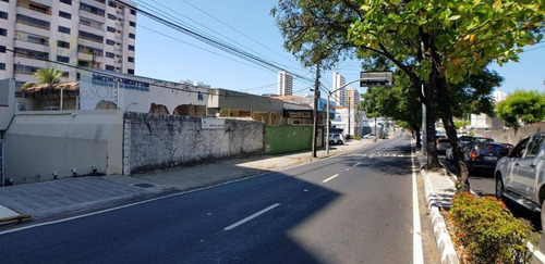 Imagem 3 de 4 de Terreno Na Av. Barão De Studart, Vizinho A Fiec. - Te0082