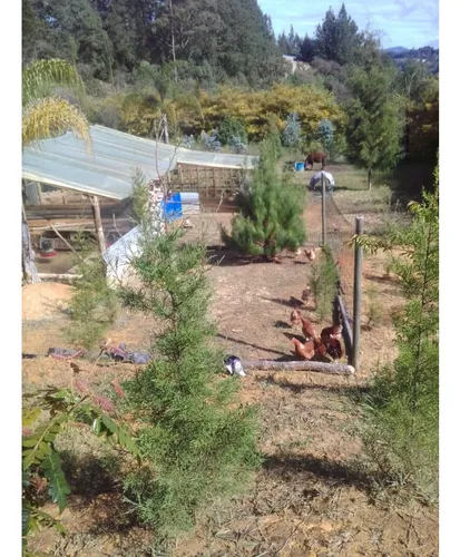 Finca En Vender En Guarne
