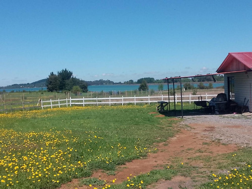 Vendo Parcela Con Cabaña En Lago Machicura D3 B2 Colbún