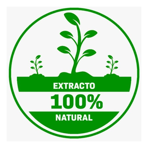 Ajo Negro En Polvo 1kg Organico