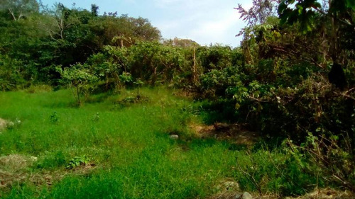 Terreno Venta Poza Rica De Hidalgo Veracruz 2000 M²