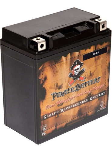 Pirate Bateria Ytx16l-bs Repuesto Agm Alto Rendimiento