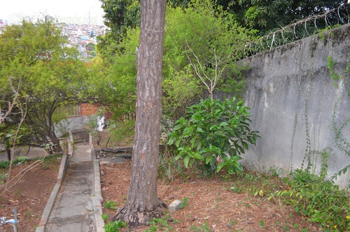 Imagem 6 de 14 de Terreno Para Venda, 1030.7163 M2, Pirituba - São Paulo - 2613