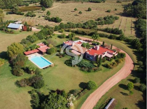 Imagen 2 de 8 de Chacra En Venta Zona Laguna Del Sauce- Ref: 2527