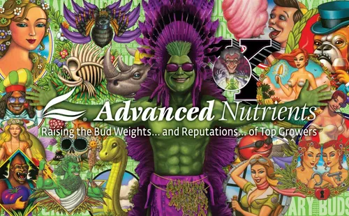 Fertilizante B-52 1 Advanced Nutrients L Vitamina B
