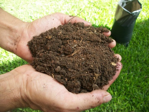 Tierra Fértil Para Jardín 