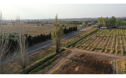 Finca De 54 Has Y 3800 M2 Has En 3 De Mayo Lavalle