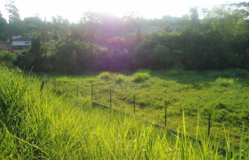 Imagem 7 de 9 de Terreno Residencial À Venda, Parque Rincão, Cotia - . - Te0179