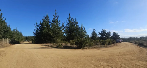 Parcela En Venta En Pichilemu