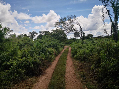 Terreno En Venta En Tulum Centro