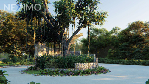 Imagen 2 de 9 de Terreno Comercial En Venta En Desarrollo Habinta Ubicado En Chicxulub Pueblo, Yucatán.
