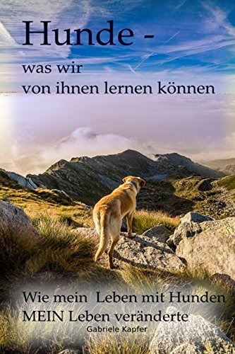 Hunde  Was Wir Von Ihnen Lernen Konnen Wie Mein Leben Mit Hu