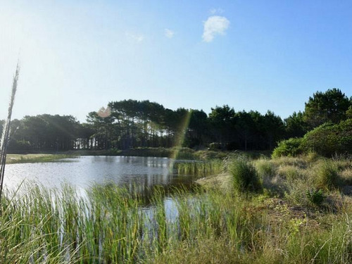 NORTHBEACH Pueblo de mar - Lotes