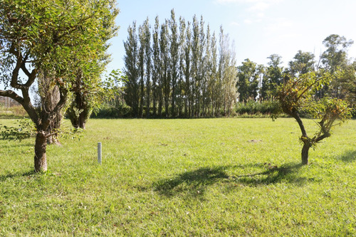 Imperdible Lote De 2.300 M2 En Los Girasoles De Luján Barrio Cerrado
