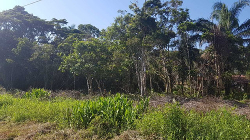 Excelente Terreno De 384 Mts No Gaivota Em Itanhaém-5127 Npc