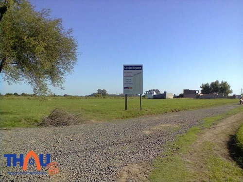 Imagen 4 de 6 de Loteo Newen, Terrenos De 250 M2 A 330 M2 Aproximados Exclusivos Para Viviendas.