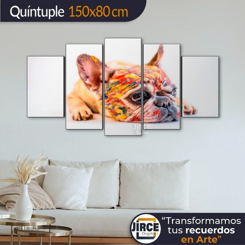 Cuadro Decorativo Moderno Perro Buldog Fránces Jd-0014 Xl Quíntuple 150x80 Cm Sin Marco