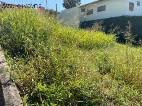 Imagem 5 de 5 de Terreno - Venda - Jardim Samambaias - Cod. 2762 - V2762