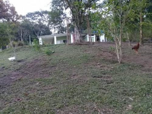 Chácara Com 3 Quartos Em Itariri/sp 7062-pc