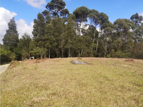 Lote En Venta Rionegro-los Pinos