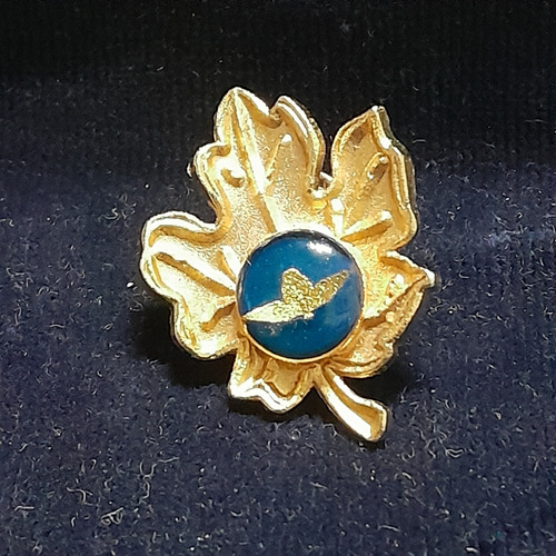 Pin Emblema De La Fuerza Aerea (Usado)