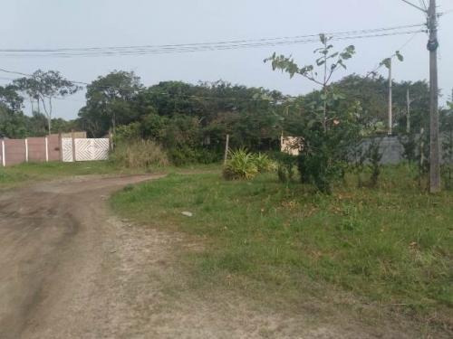 Imagem 4 de 7 de Terreno No Bopiranga De 255 Mts Lado Praia Em Itanhaém Sp