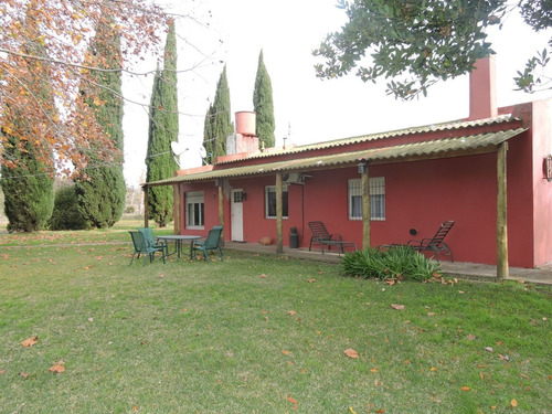 Imagen 9 de 17 de 3,6 Ha Casa Quinta En Veronica Con Galpon Y Local Comercial