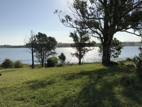 Imagen 16 de 16 de Venta De Chacra En Laguna Del Sauce, Punta Ballena