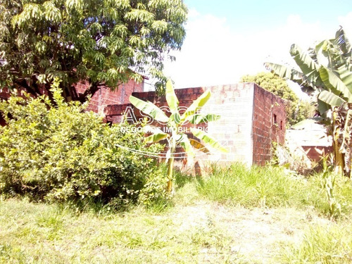 Imagem 14 de 24 de Chácara Na Região Do Bairro Tupi (código Ch00048) - Ch00048 - 70119886