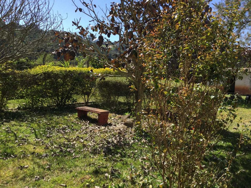 Imagem 10 de 27 de Possibilidade De Renda! Casa Ampla Com 2 Studios No Quintas Do Ingaí Por R$ 2,5 Milhões - 17735 Ca-c.a