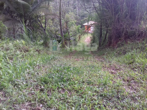 Imagem 5 de 9 de Terreno Rural Para Sítio Ou Chácara A Venda Em Botuverá/sc - 1699c