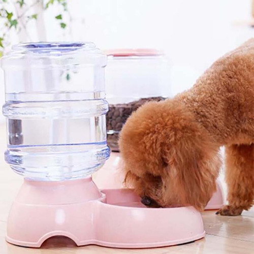 X2 Dispensador Automatico Alimento + Agua Mascotas