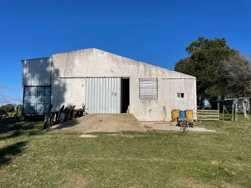 Campo De 11 Hectáreas Dividido En 5 Potreros Excelente Para Ganaderia En Rocha
